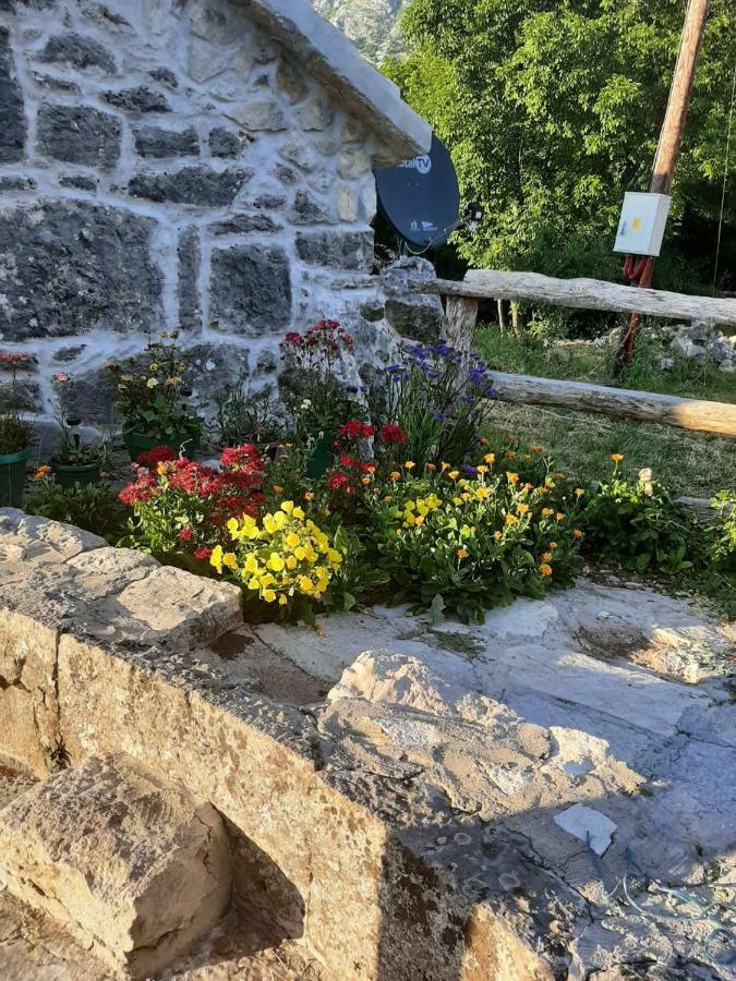 Vila Ethno House Kosic Herceg Novi Exteriér fotografie